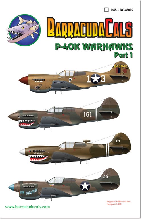 1/48 P-40K 战鹰战斗机(1)