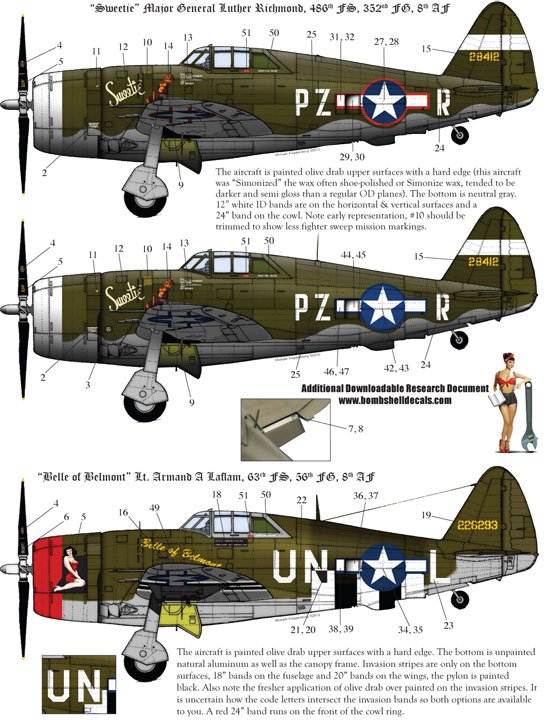 1/48 P-47D 雷电战斗机(1)