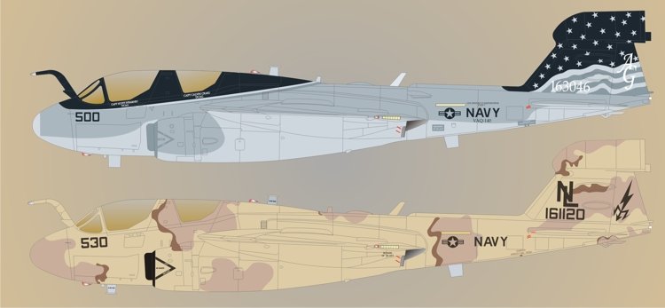 1/48 EA-6B 徘徊者电子攻击机"VAQ-140/133 爱国徘徊者"