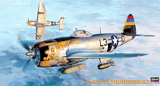 1/48 二战美国 P-47D-25 雷电战斗机