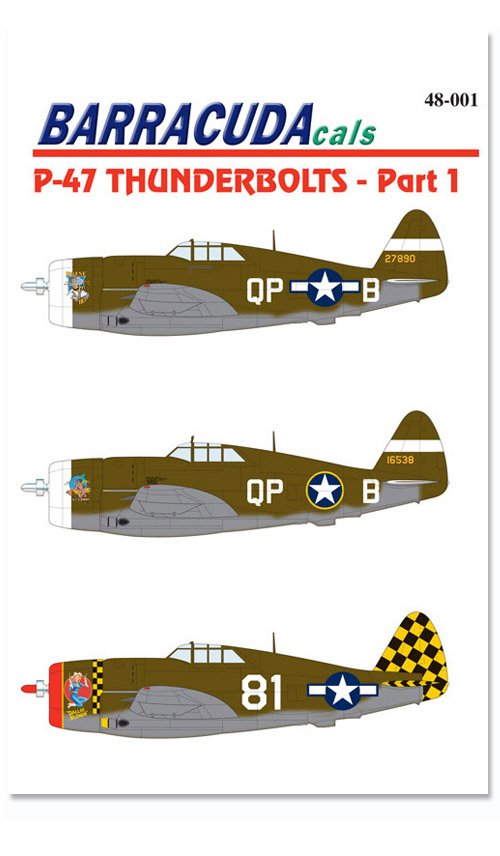1/48 P-47 雷电战斗机(1) - 点击图像关闭