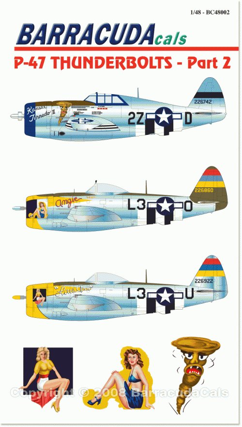 1/48 P-47 雷电战斗机(2)