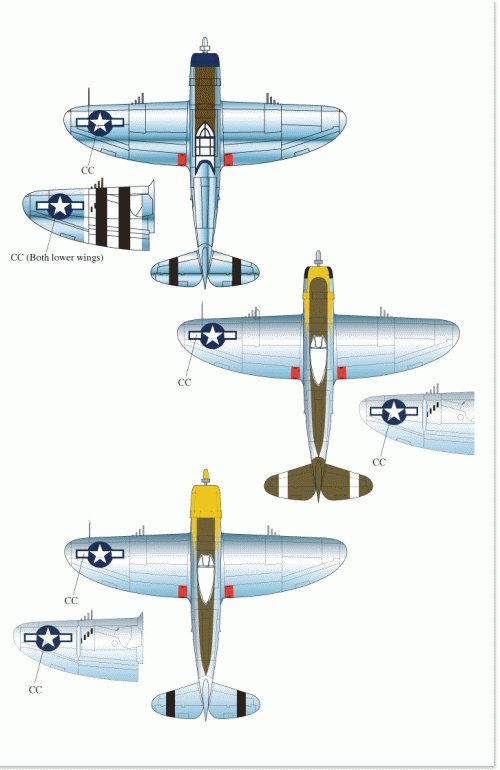 1/48 P-47 雷电战斗机(2)