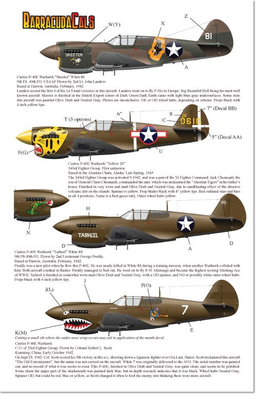 1/48 P-40E 战鹰战斗机(1) - 点击图像关闭