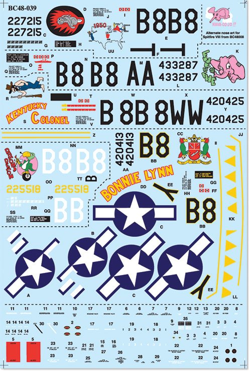 1/48 P-47 雷电战斗机"第362飞行团" 1/48 P-47 雷电战斗机"第362飞行团"