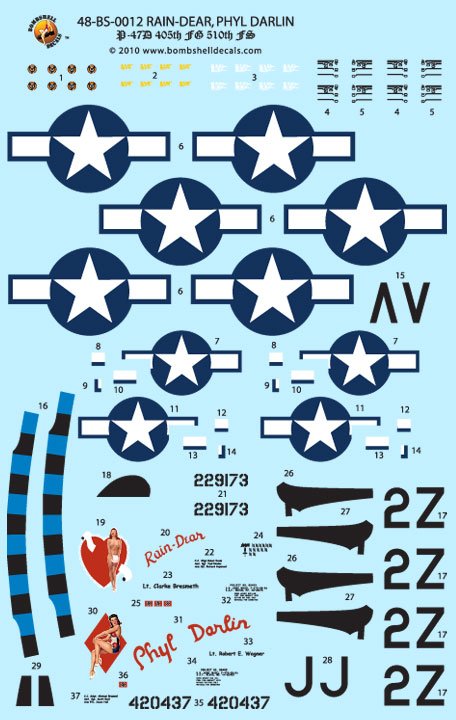 1/48 P-47D 雷电战斗机(2)
