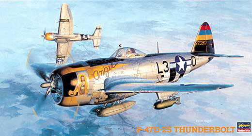 1/48 二战美国 P-47D-25 雷电战斗机 1/48 二战美国 P-47D-25 雷电战斗机