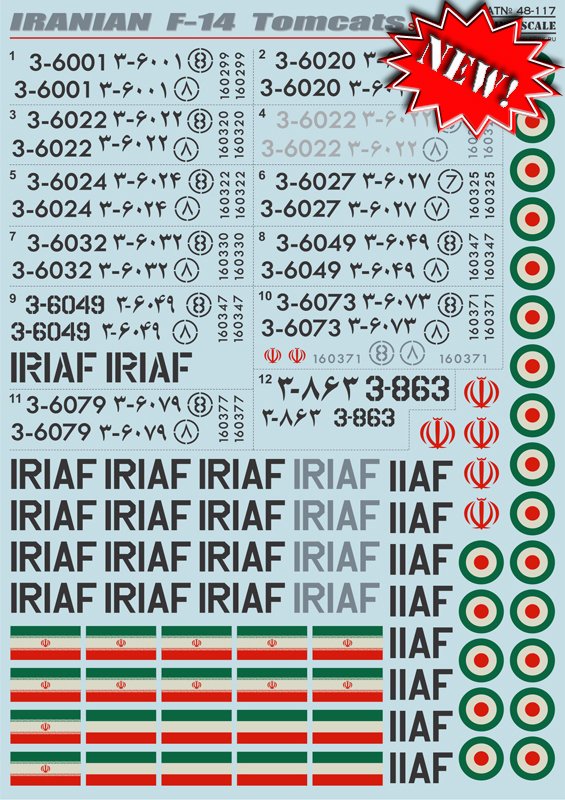 1/48 F-14 雄猫战斗机"伊朗空军" - 点击图像关闭